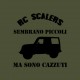 Modellismo dinamico automobili Scaler RC.