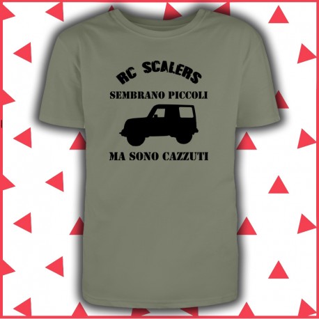 Modellismo dinamico automobili Scaler RC.